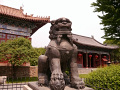P1020454.jpg