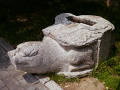 P1020455.jpg