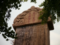 P1020456.jpg