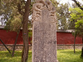 P1020458.jpg