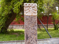 P1020459.jpg