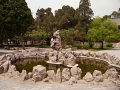 P1020461.jpg