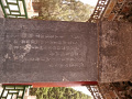 P1020466.jpg