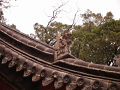 P1020480.jpg
