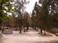 P1020482.jpg