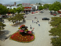P1020491.jpg