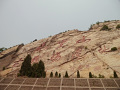 P1020506.jpg