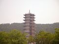 P1020507.jpg