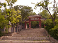 P1020509.jpg
