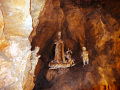 P1020517.jpg