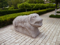 P1020528.jpg