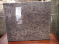 P1020547.jpg