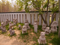 P1020552.jpg