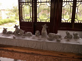 P1020553.jpg