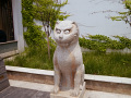 P1020560.jpg
