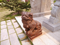 P1020571.jpg