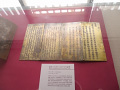 P1020575.jpg