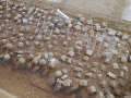 P1020600.jpg