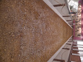 P1020601.jpg