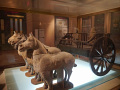 P1020603.jpg