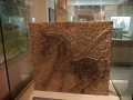 P1020606.jpg