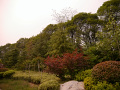 P1020614.jpg
