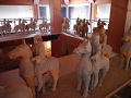 P1020619.jpg