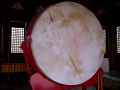 P1020624.jpg