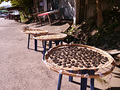 P1030094.jpg