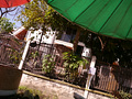 P1030097.jpg