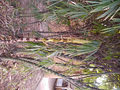 P1030103.jpg