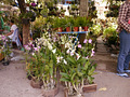 P1030104.jpg