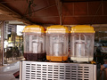 P1030107.jpg
