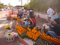 P1030110.jpg