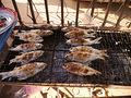P1030114.jpg