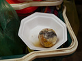 P1030127.jpg