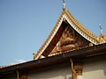 P1030138.jpg