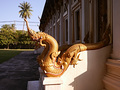 P1030139.jpg