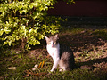 P1030143.jpg