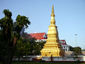 P1030146.jpg