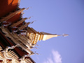 P1030149.jpg