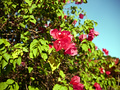 P1030156.jpg