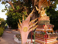 P1030177.jpg