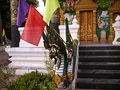 P1030191.jpg