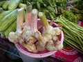 P1030198.jpg