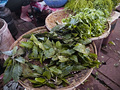 P1030200.jpg