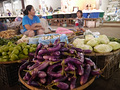 P1030201.jpg
