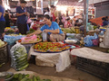 P1030202.jpg