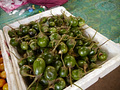 P1030207.jpg