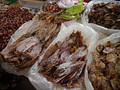 P1030208.jpg